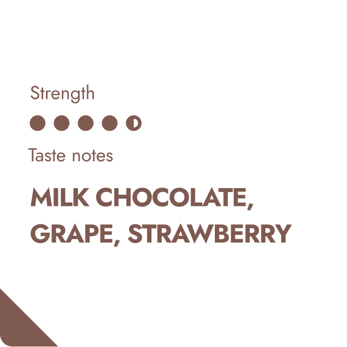 Colombia Coffeebrewer – specialkaffe-3