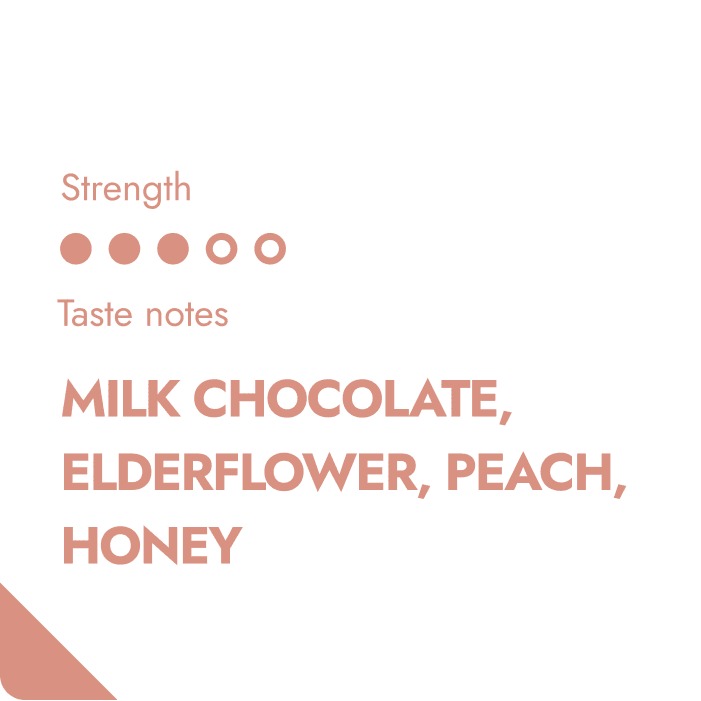 Honduras Coffeebrewer – ekologiskt specialkaffe-3