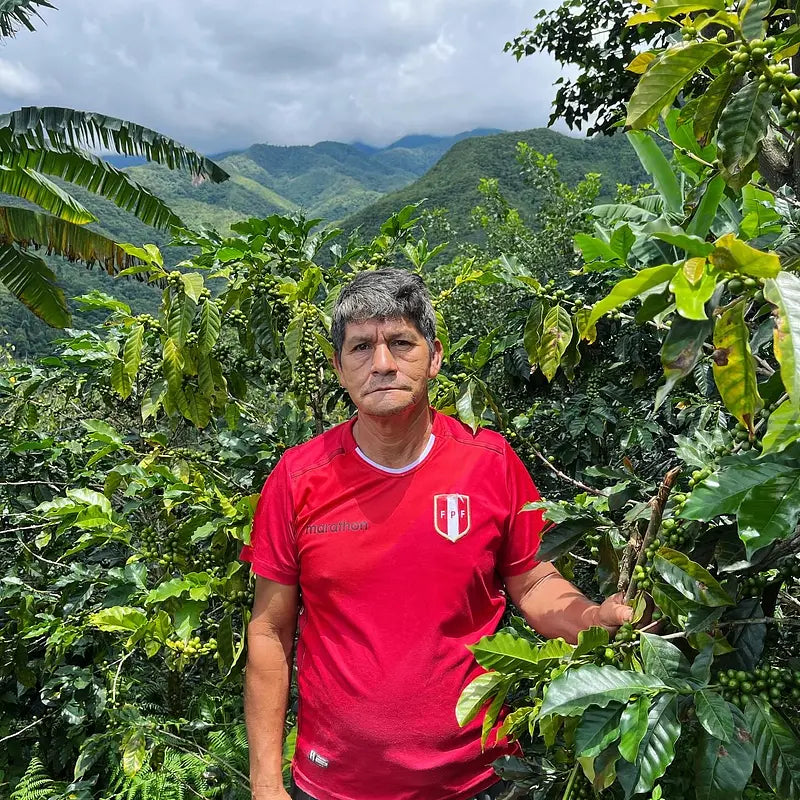 Peru – Sequiapampa, specialkaffe rostat av Kaffero