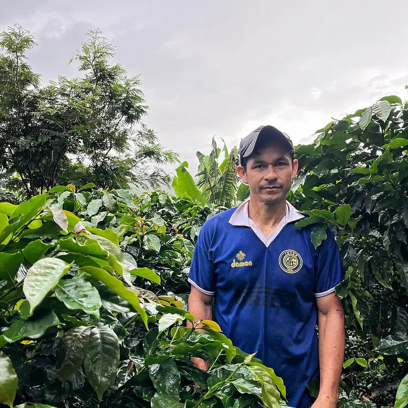 Peru – Sequiapampa, specialkaffe rostat av Kaffero